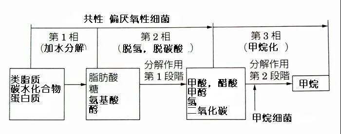 可回收再利用的塑料袋：可生物降解塑料(图3)